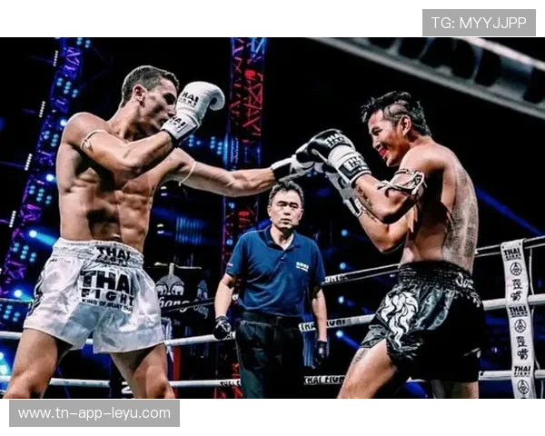 拳击擂台边教练即时指点成制胜要素