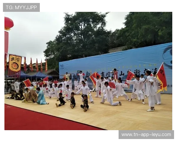 世界武术大师巡回表演助力传统武艺传播，世界级武术比赛